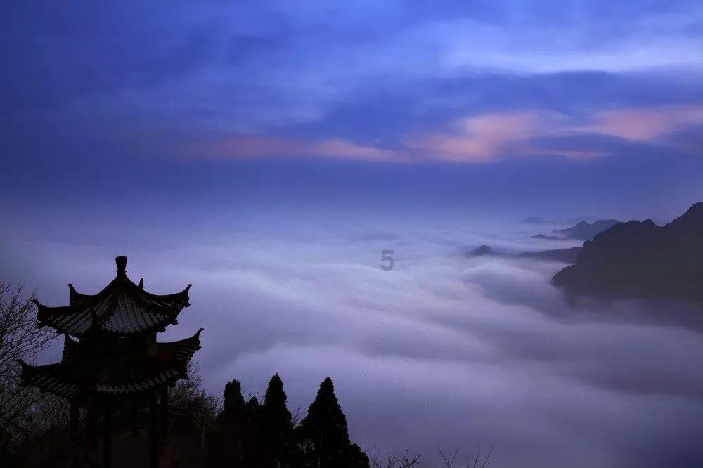 保护僵尸火种