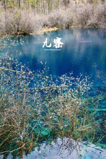 爱的礼物