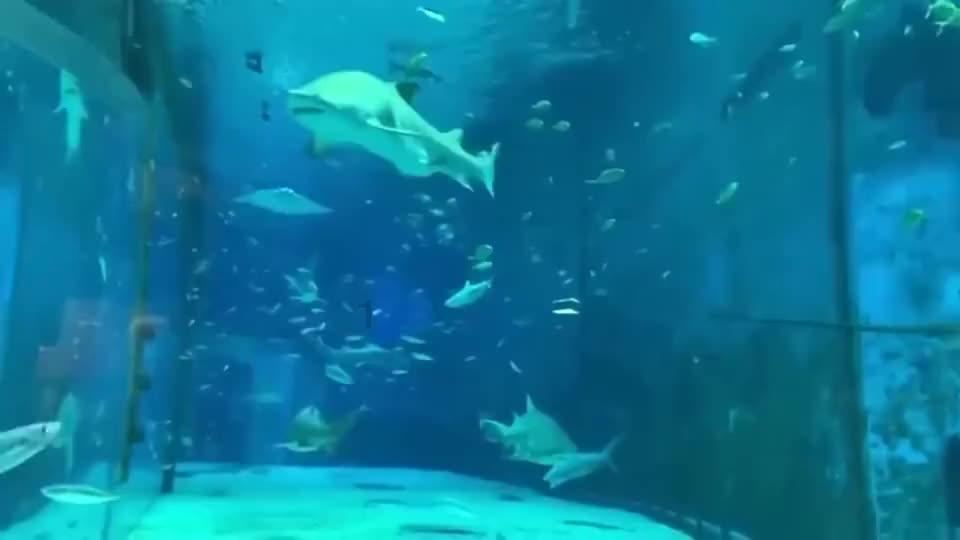 日常街拍