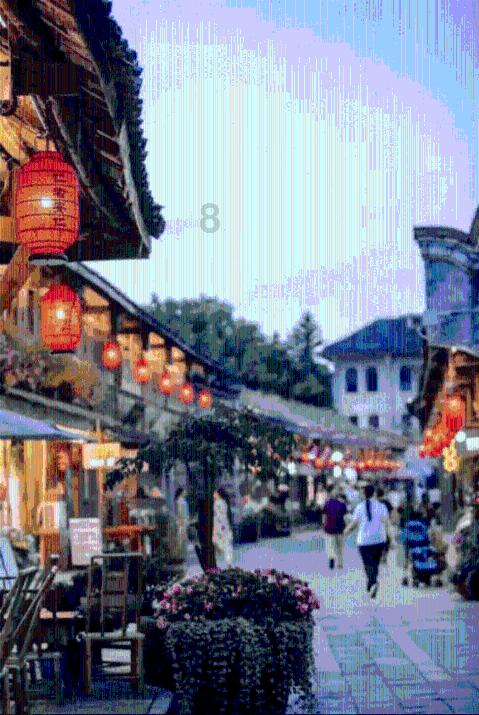 照顾小兔宝宝